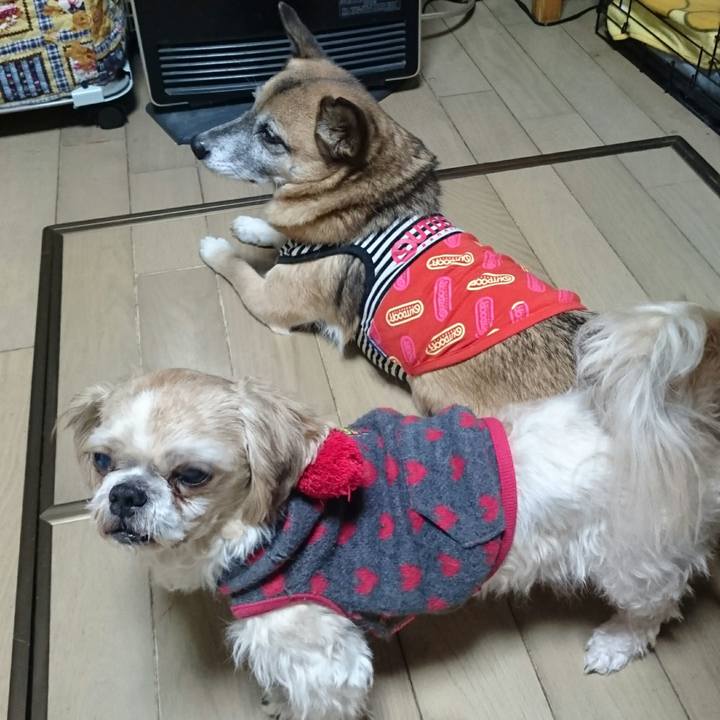 631d6e15 7650 430f 9db1 e0d715550d97