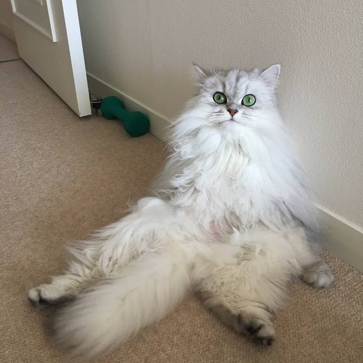 631dc34b 7a25 4927 9099 e8e02f6c1cb9