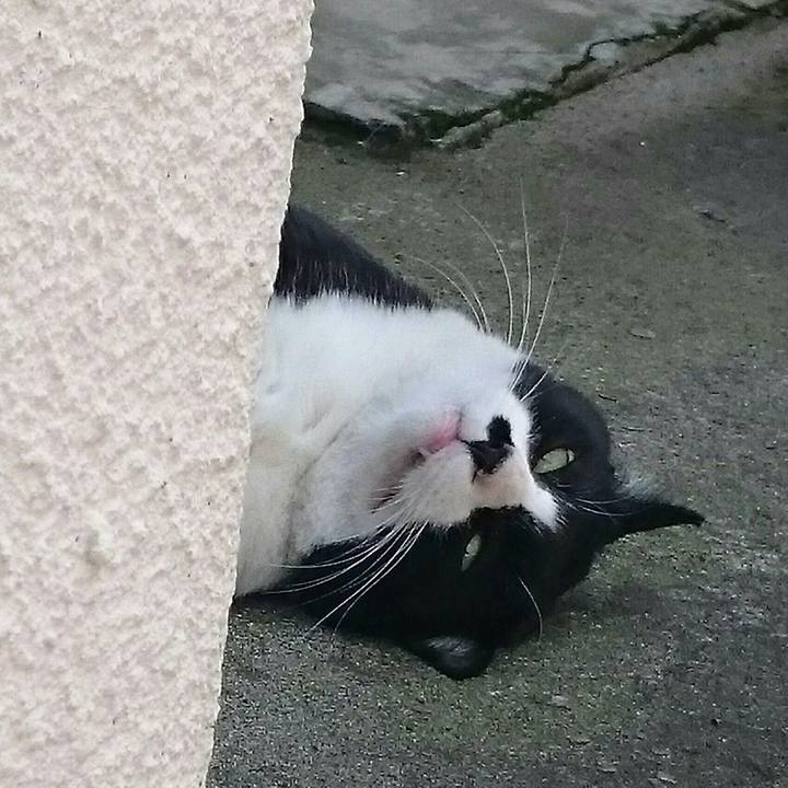 631e42bc d430 4b15 96b3 23f95de538fc