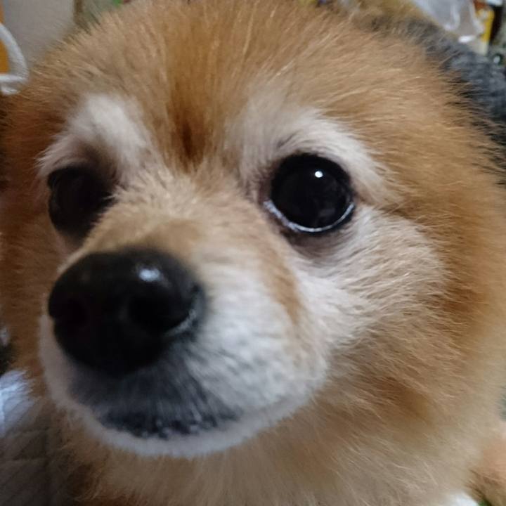 631e54d1 f77e 4f1c 8617 3c6c60b65404