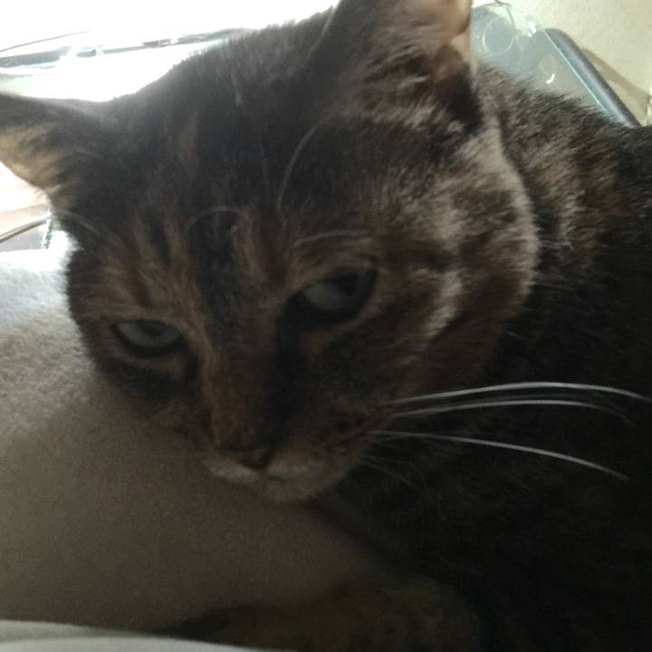 631f2bc8 2320 45b0 837f 844c1424bb62