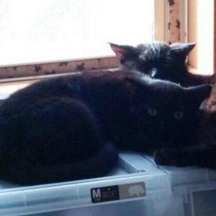 631f71a4 df68 47c7 ab7c 8de347aa87d7