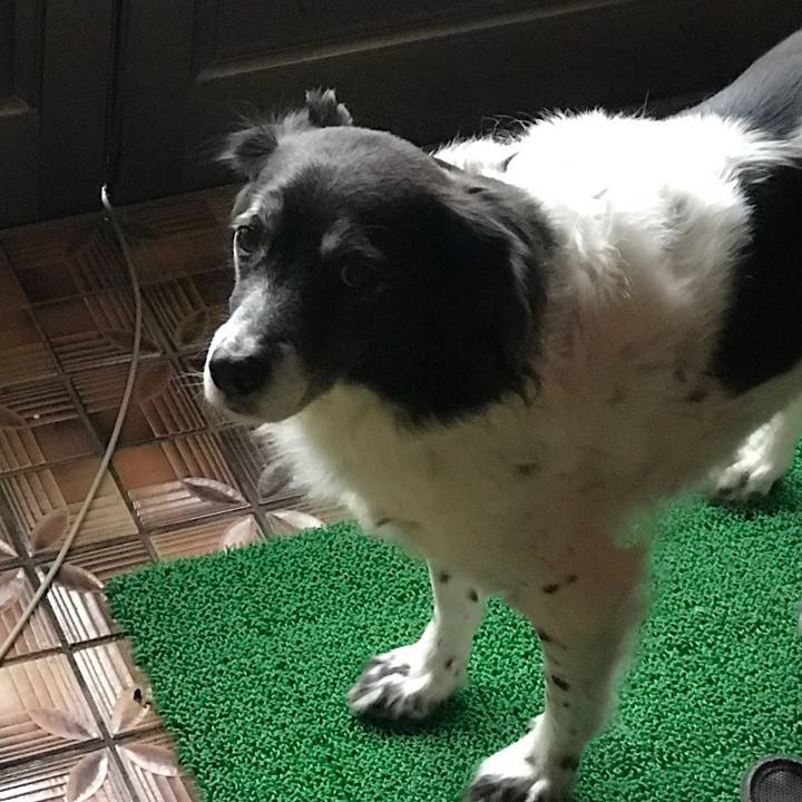 631f795a abeb 4eb8 8add e2cd4be9004b