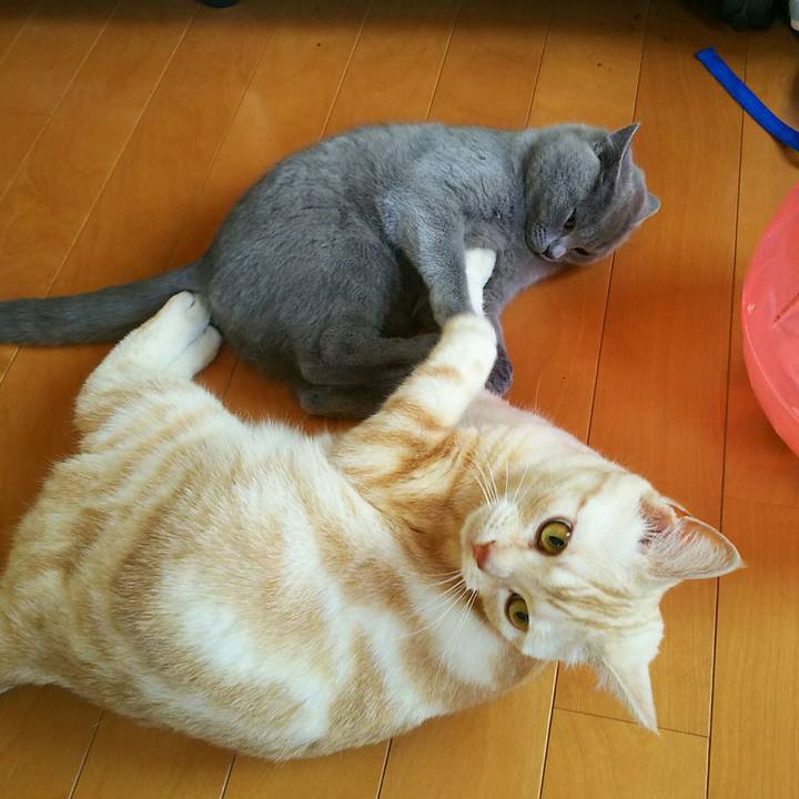 632037db b2c2 4f32 9235 90de0714db91