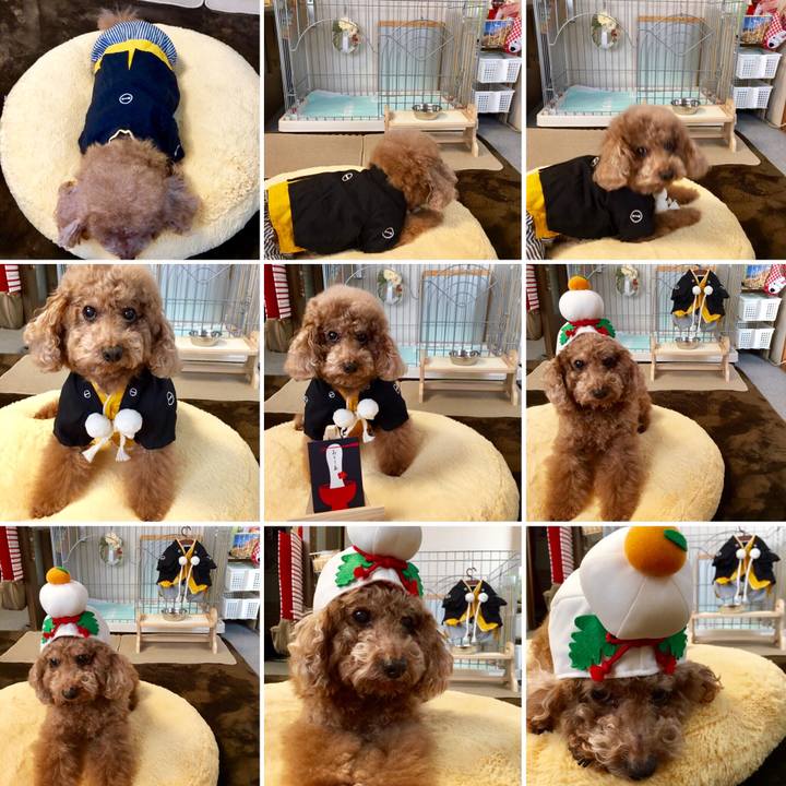 63203f2f 80f3 45ca b69f dcd56dd2965e