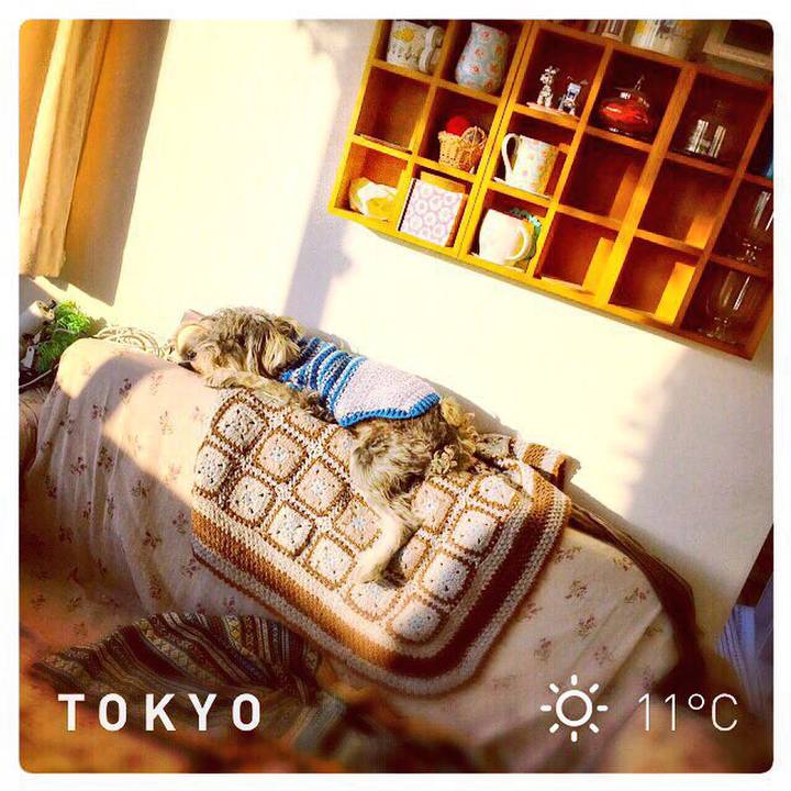 632049d1 d2c7 405d 8bc4 881c806e1b01