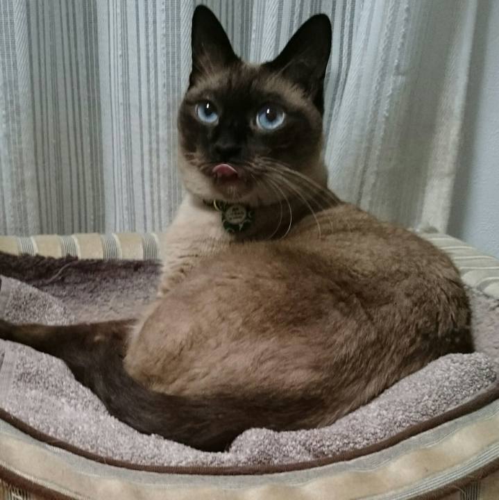 63206ee1 7f0f 4442 b573 d8dab9015aec