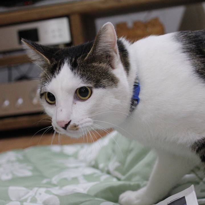 6320fa03 cbb2 4fdc 8464 b8870b8a13f3