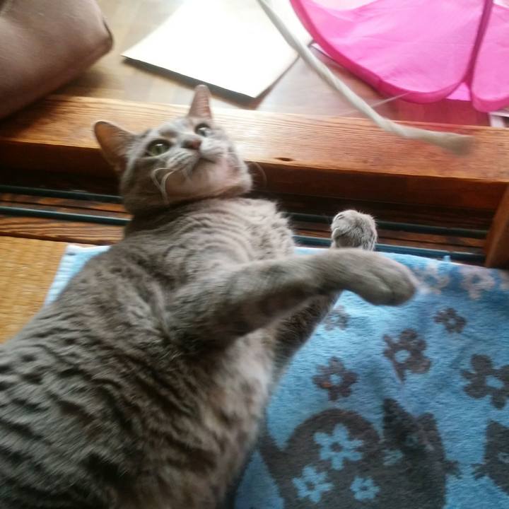 63212dd7 07c0 40ce 8c15 8c5b47741b47