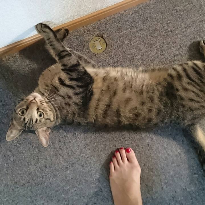 6321529a 7e3c 4bd3 b9c6 50095aa225d0