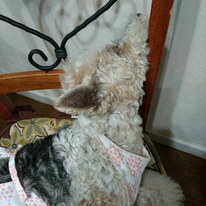 632206f8 f9b1 48ac a8a5 b18707d4c631