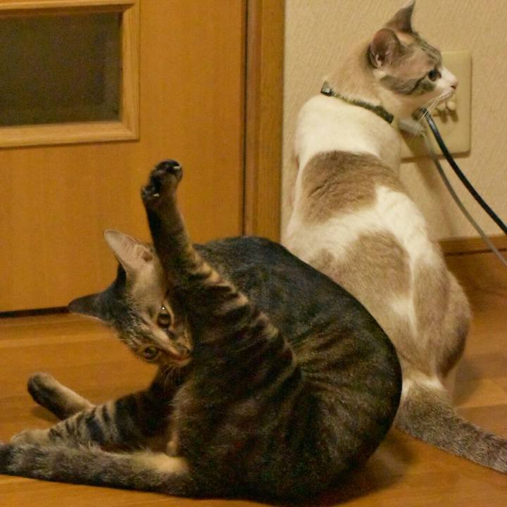 632226fa aa24 4746 9046 4e471bdb1f62