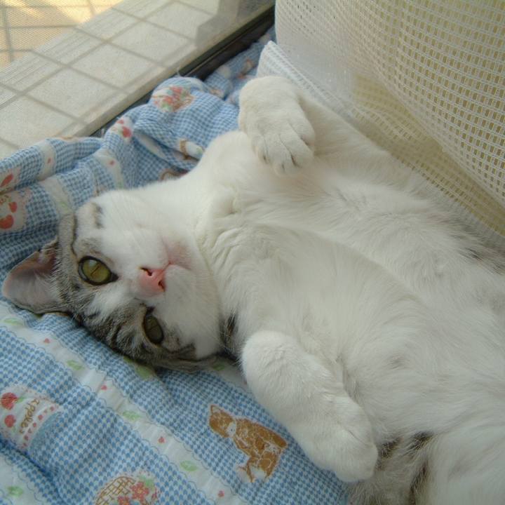 63227079 6ba9 4aa8 908c 04aca86007c6