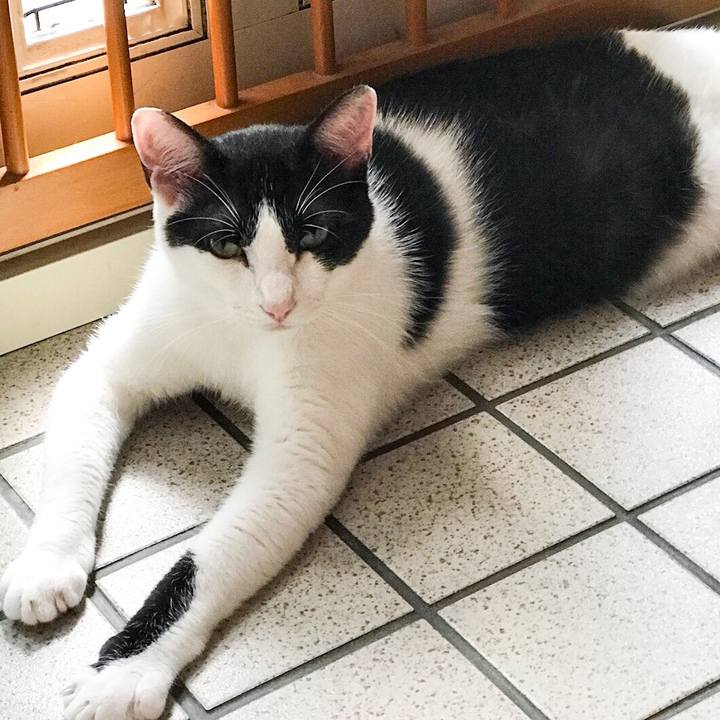 6322d5a9 d965 4168 817e 4dc2f38a6345