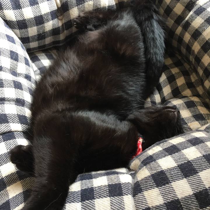 6322eff5 ad34 4a98 8558 baf9f15fd67d