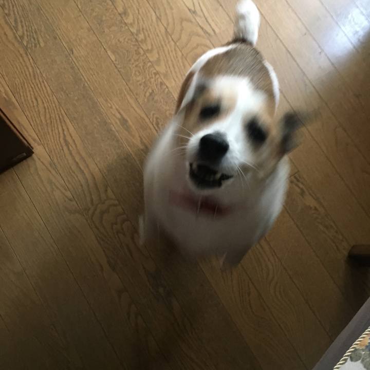 6323dadb 0981 48be 904c d6da27bd6a5b