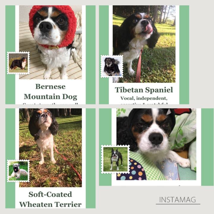 6323e67f 309c 46ab 8bc1 a1afe1f3ff89