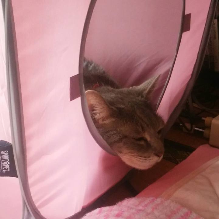 6324cc93 a249 44de 8855 182e5c595148