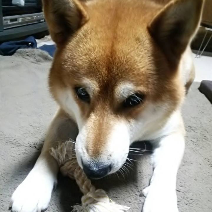 63258ef5 24ee 4e8a 9560 6178437306f3