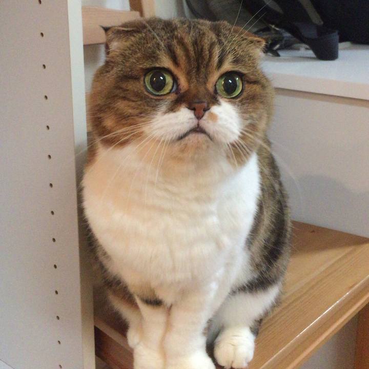 6325a7e9 5081 4739 b621 e316c3472969