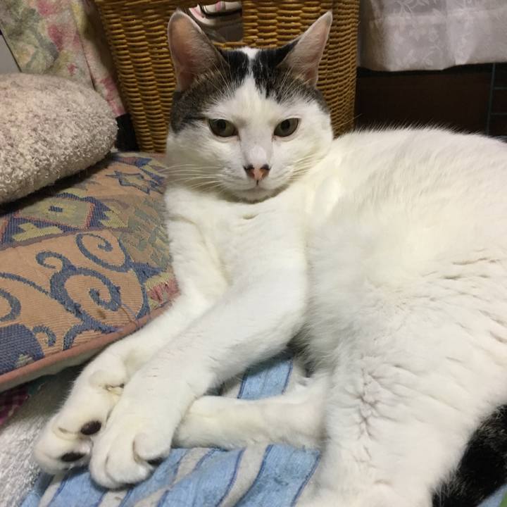 6325c037 0b5e 44ea 9da2 3204110b6454