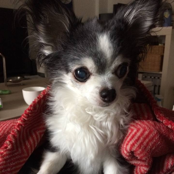 6325e12e 1781 4a43 a39d 4cfdecc0de18