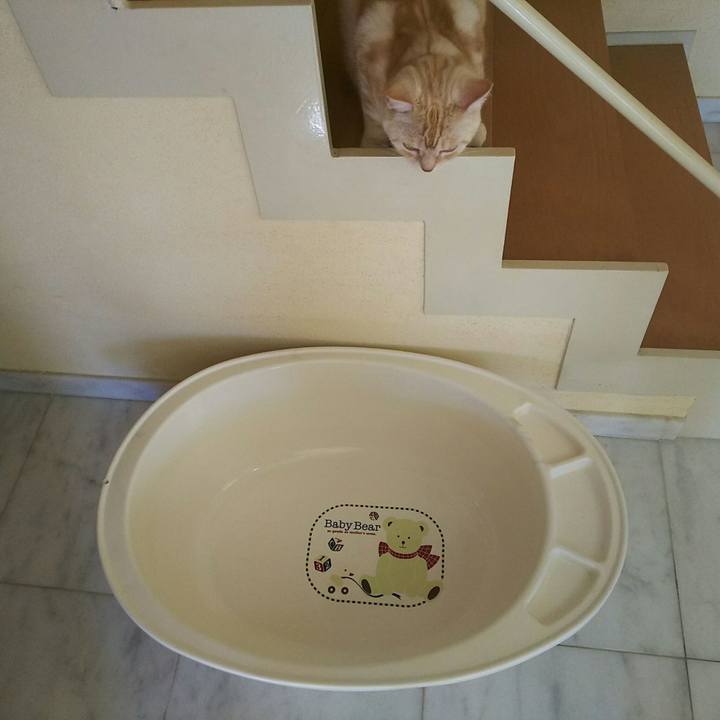 6325ebb3 4b6e 4cf2 af90 012d1bc121ac