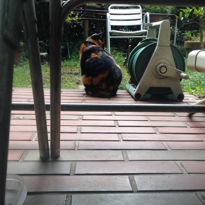 6326cb0f c164 4da9 a489 338e08a005a7