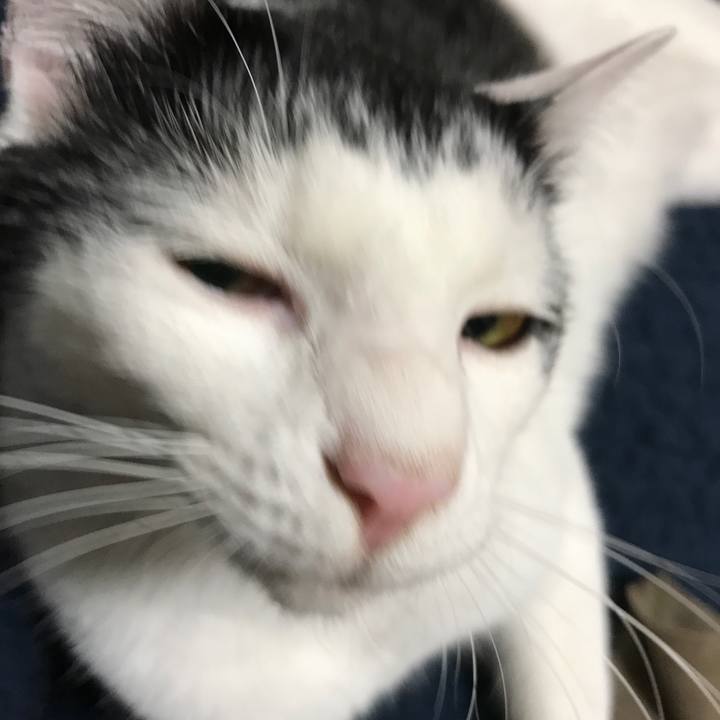 63277672 58b8 4a4d 88da 22c7fa8467ae