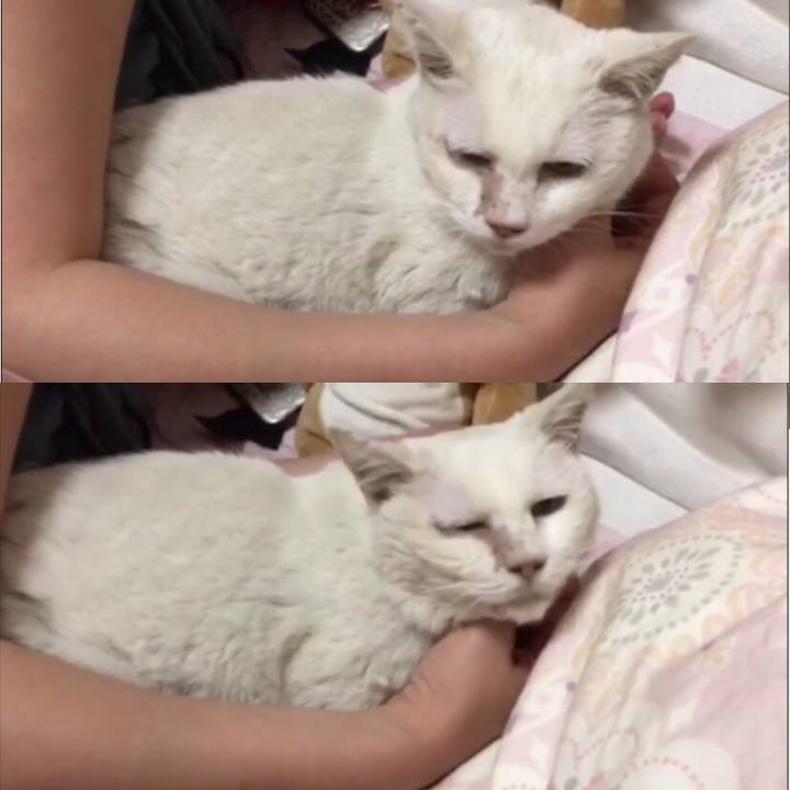 6327c81a d0cf 4286 a16e 6b86d67c91c8