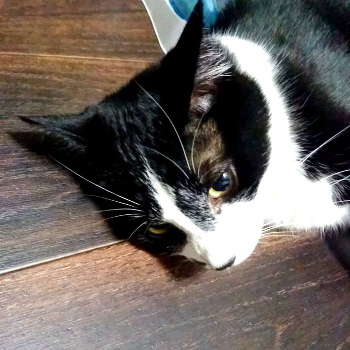 6327d383 34c8 4ba9 9964 022ed6ca99cc