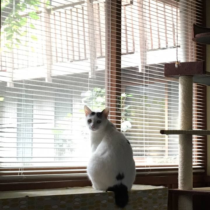 6328a7b1 dc86 4586 b16d 21d8f2cdef11