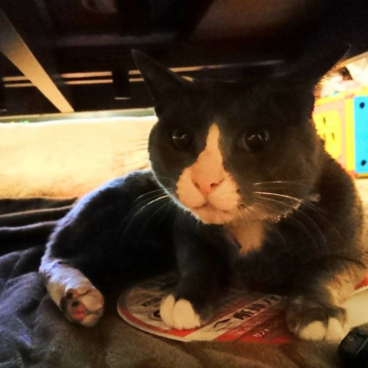 632912da 2f75 4533 a2f9 3a86b86d0e5b