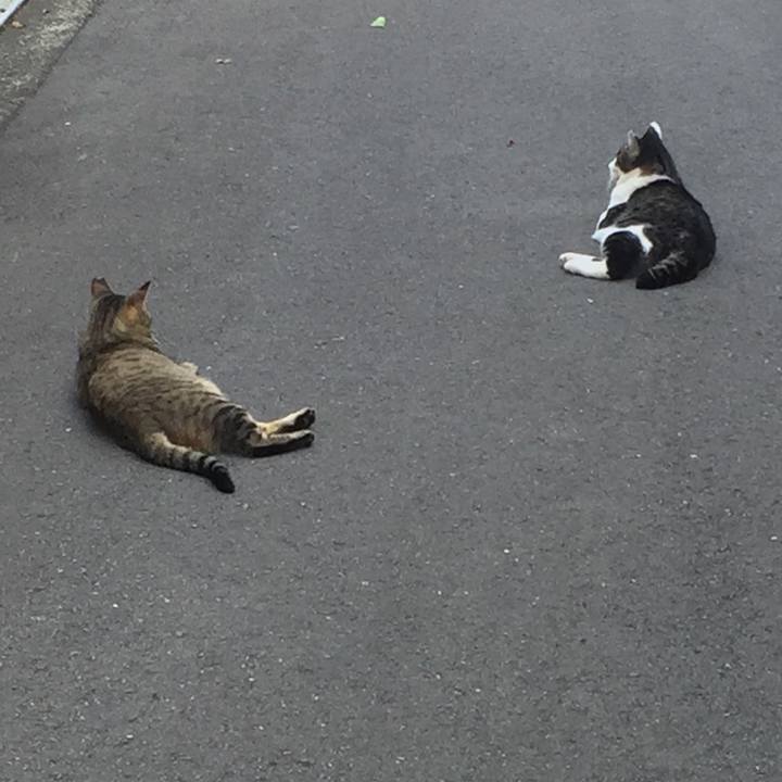 63291ffb 6997 4207 b0bd f82f69e5d558