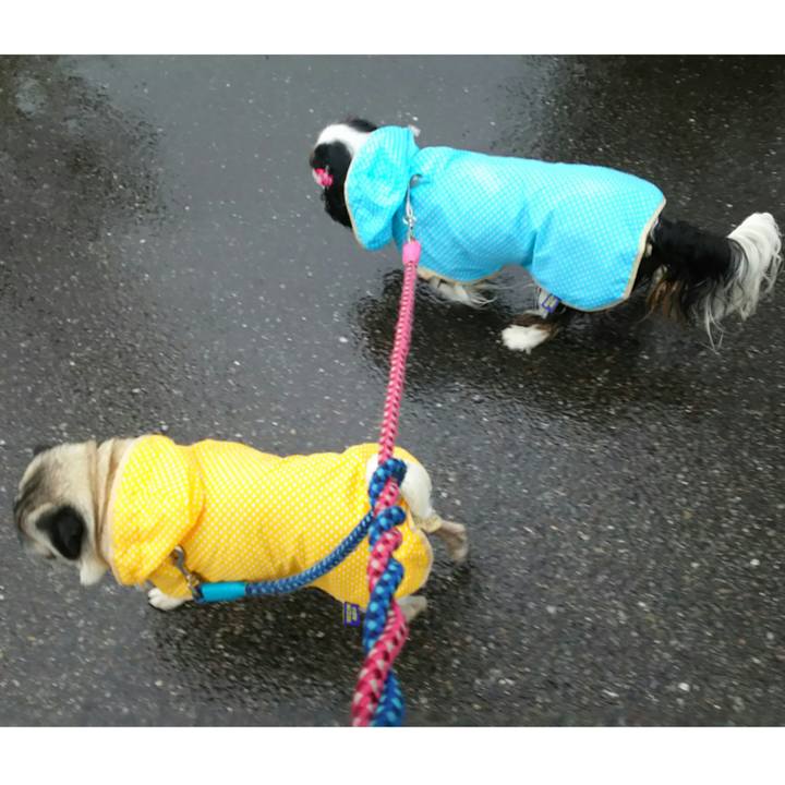 6329b802 4e9d 49a0 8a4c f328caad0867