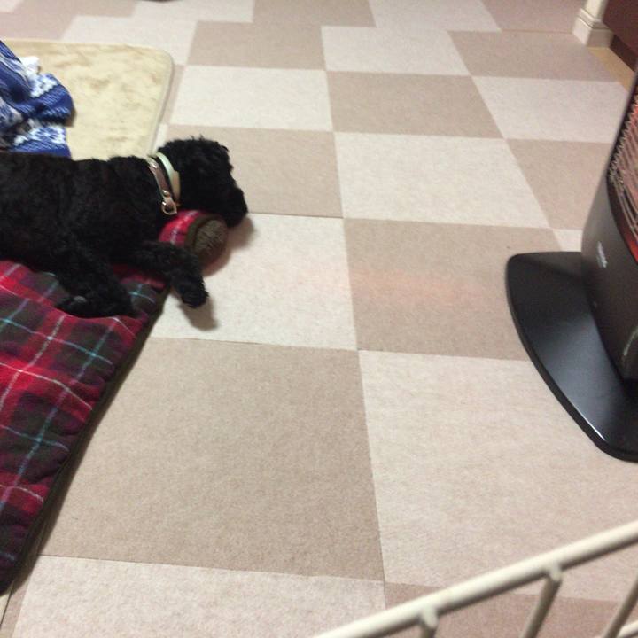 632a5f6b bf94 44a0 83c9 5603273ca309