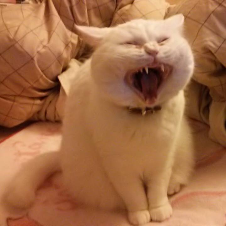 632a6bd1 d9b4 4f17 bdff 79173d5cabb2