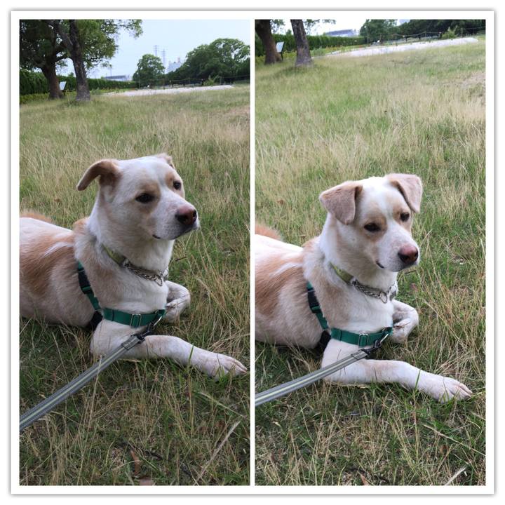 632aab14 bffc 4d49 b788 9fa02b36638d