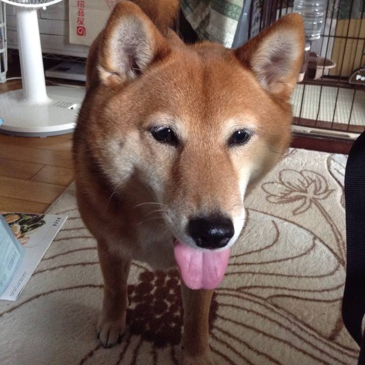 632b4475 4a8d 4b0a 93c8 26e7e17b7d8f