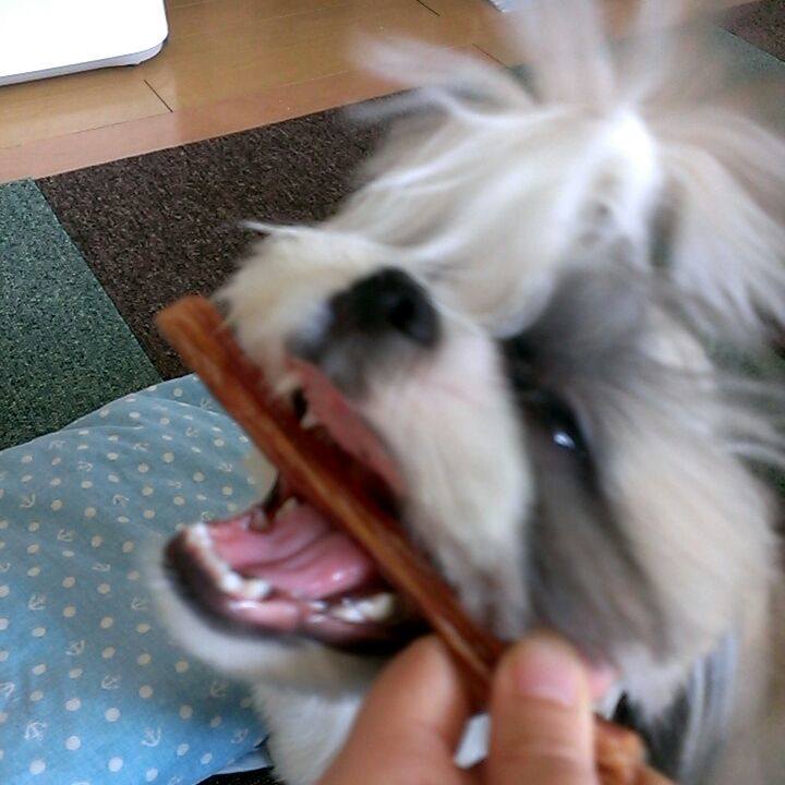 632be313 13ee 48f9 ac31 43b6920cea7f