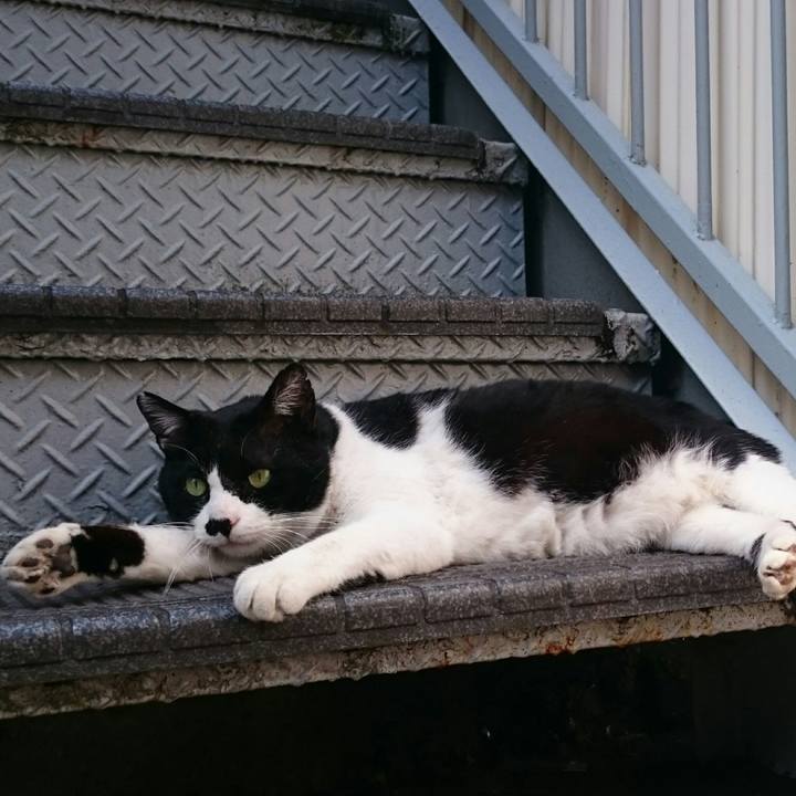 632c1cff 4437 4eff 8d52 2fa68941fa17