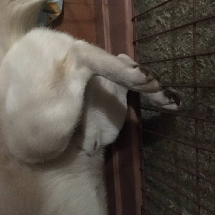 632c71a3 a1a8 4ea2 a4b9 63f3c94f5f70