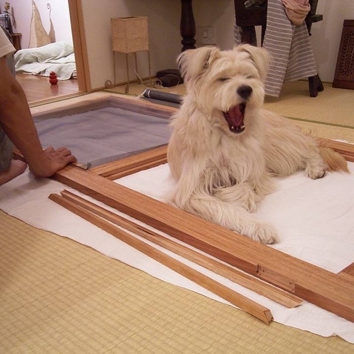 632c8f16 2c37 4aa2 98e8 739fe7ffb403