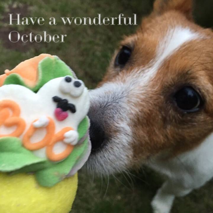 632c9716 20ff 41b3 914b c8cbf8e8bbaf