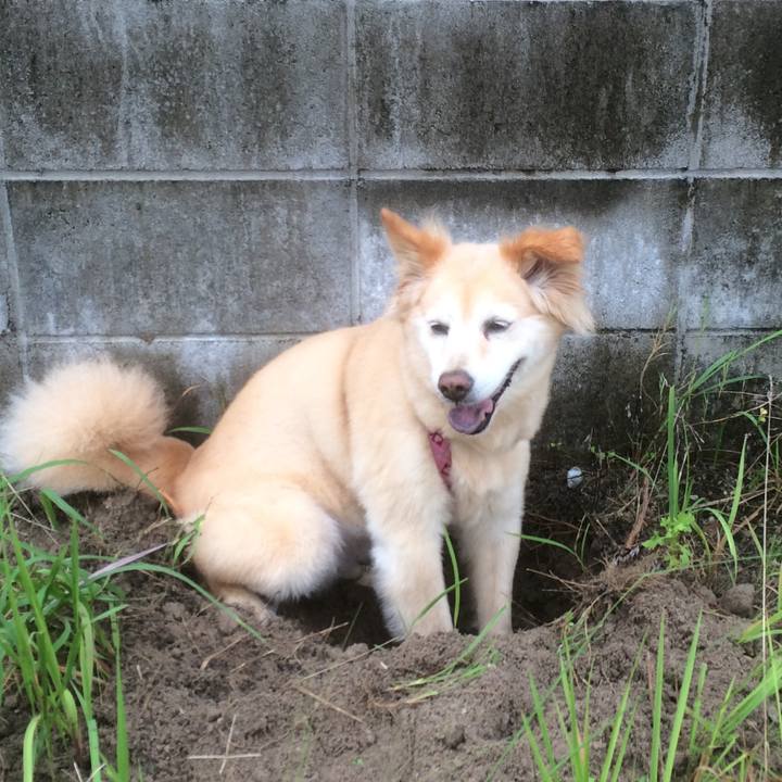 632ded7a cc8e 4f59 8f32 ea074481fdd1