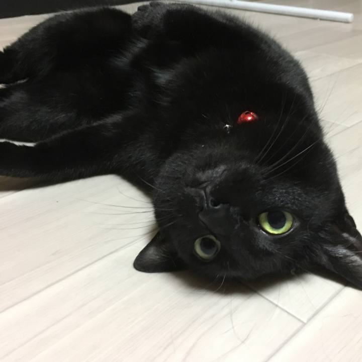 632e0e61 a2b6 487d b1d4 802519d3ca83