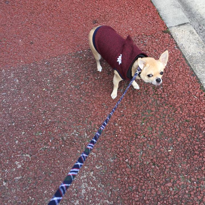 632ec456 bccc 4eb5 acd0 29d35d1d354e