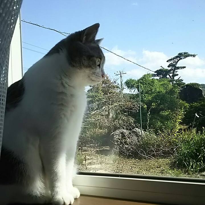 632f21d9 0aff 44e3 b018 b19d19a72ab4