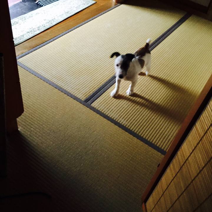 632f2b46 4638 44ea b41a 2e83c2fecb58