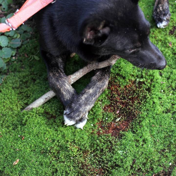 632f5d68 2ee8 41f7 a90b 180427a7b68f